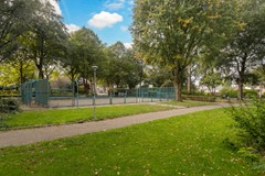 Sandenburg 12-40.jpg